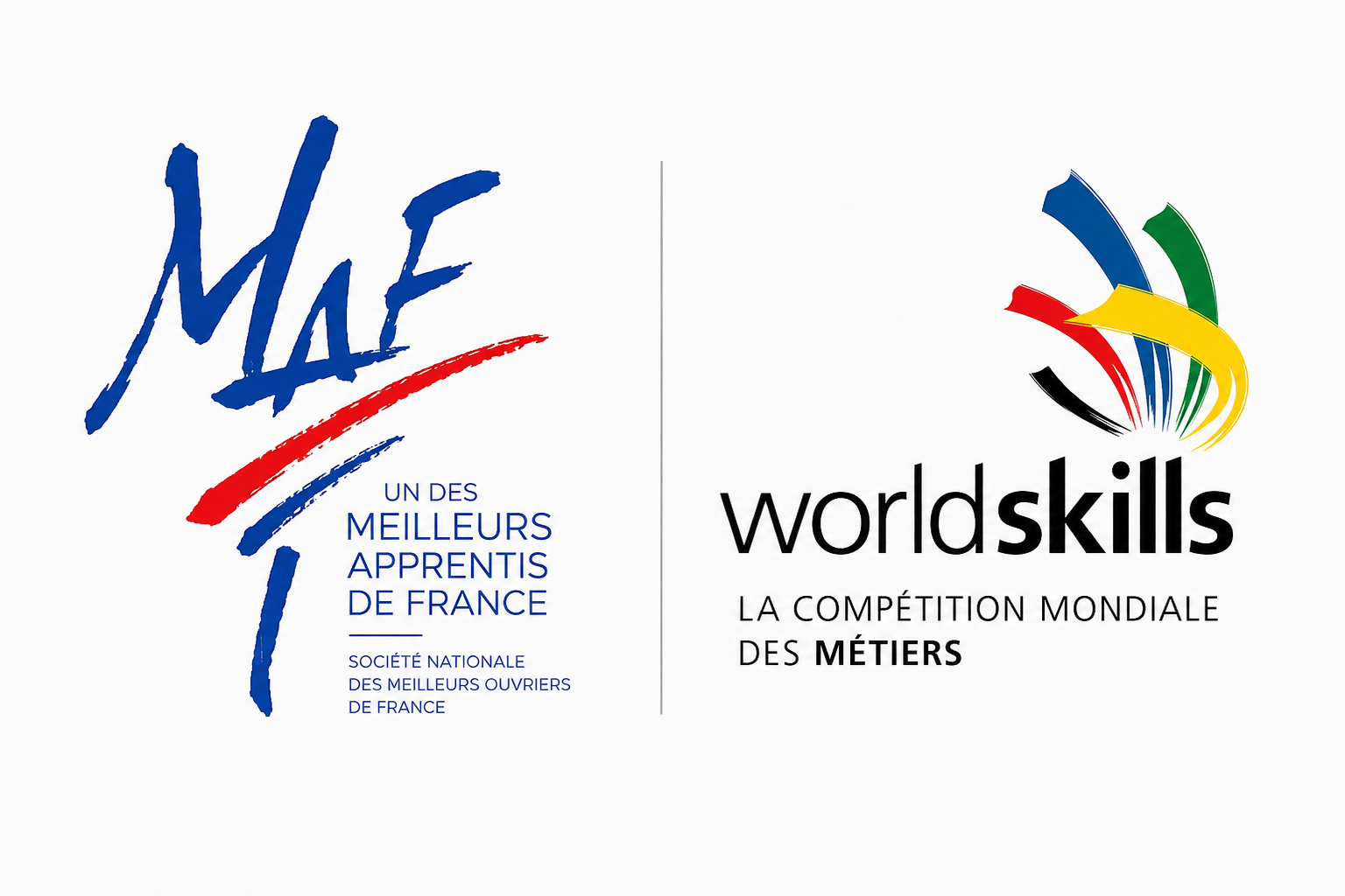 Worldskills France - L'excellence mondial